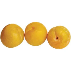 Fresh Midas Plums