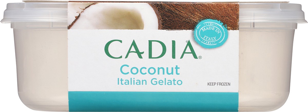 slide 3 of 9, Cadia Coconut Italian Gelato 30.4 fl oz, 30.40 fl oz