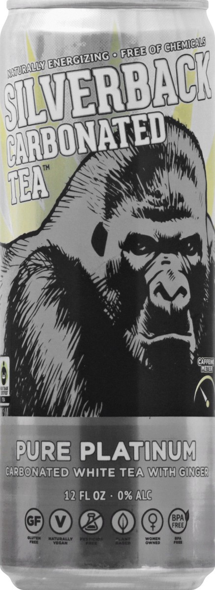 slide 5 of 9, Sarilla Keto Friendly Sparkling Ginger White Tea- 12 fl oz, 12 fl oz