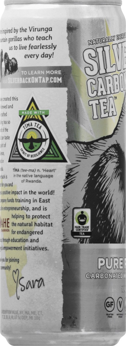 slide 6 of 9, Sarilla Keto Friendly Sparkling Ginger White Tea- 12 fl oz, 12 fl oz