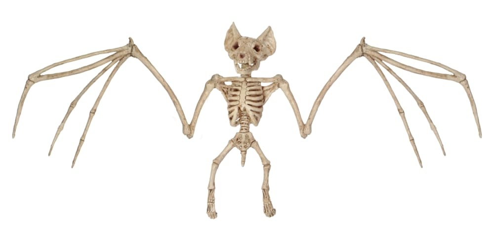 slide 1 of 1, Holiday Home Bat Skeleton - Cream, 6.25 in