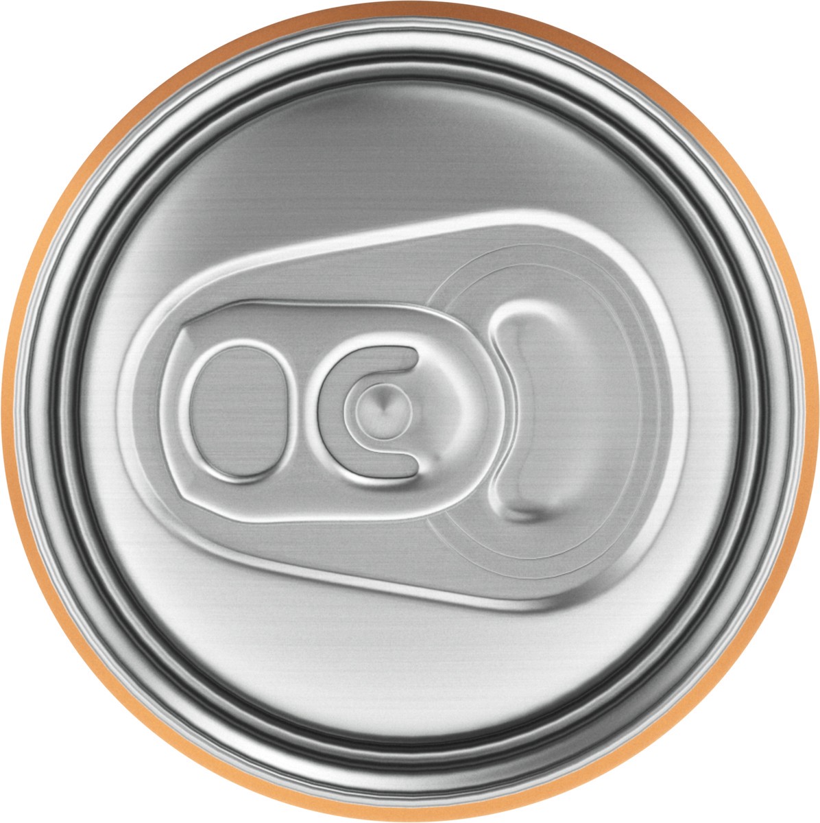 slide 6 of 13, Topo Chico Sabores Tropical Mango Can, 12 fl oz, 12 fl oz