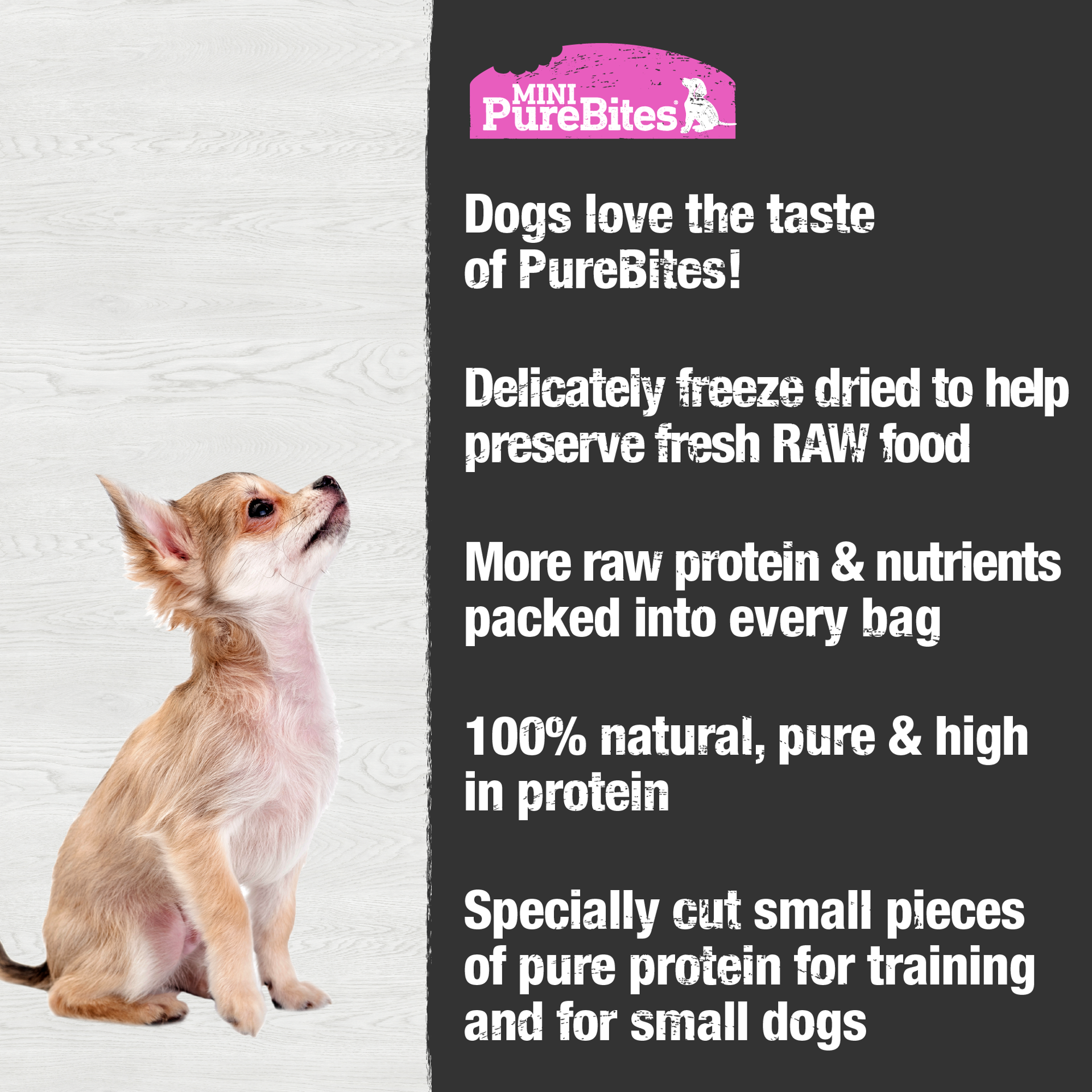 slide 5 of 5, PureBites Mini-PureBites Freeze Dried Salmon Dog Treats | Only 1 ingredient | 49g, 49 g