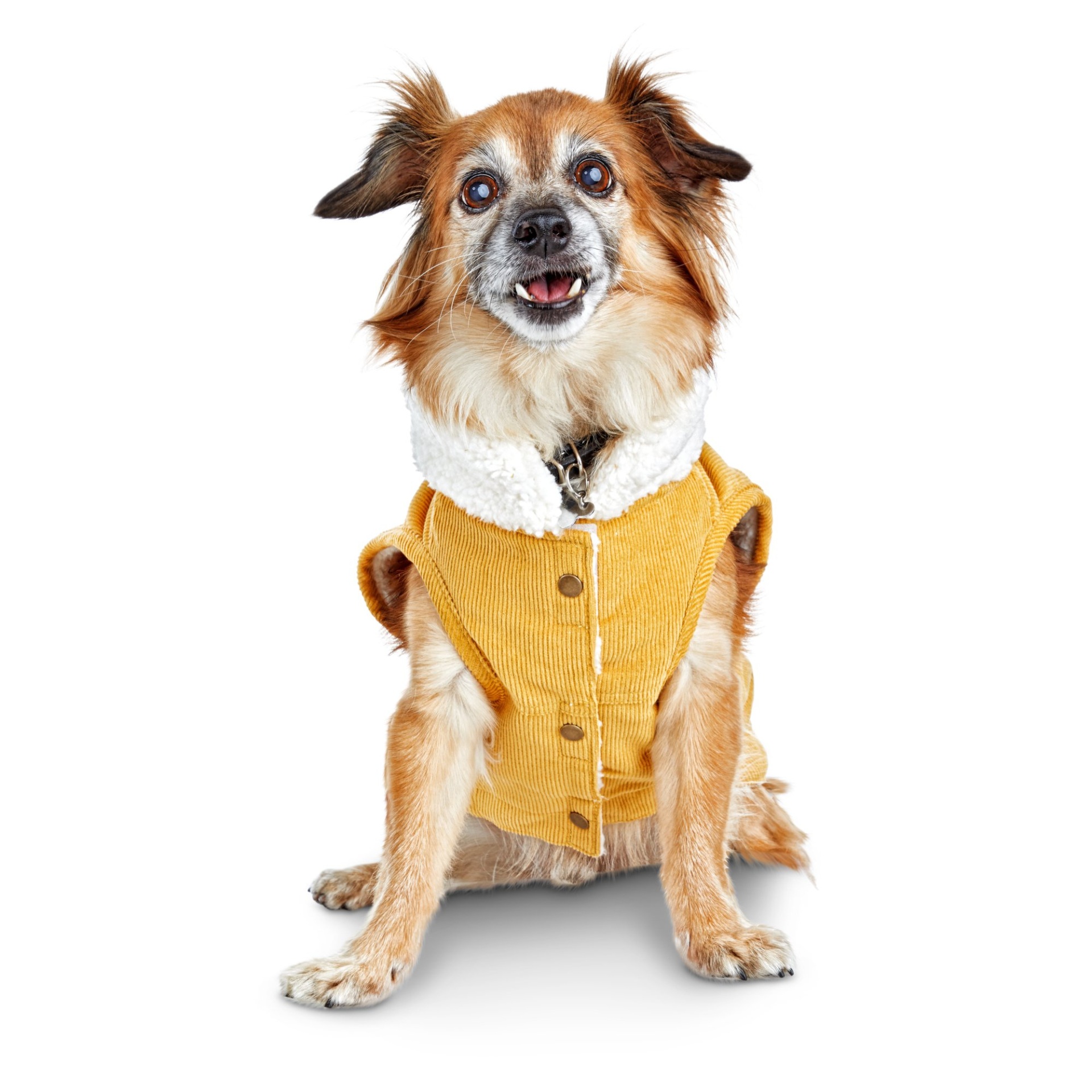 slide 1 of 1, Bond & Co. Faux-Shearling-Lined Corduroy Dog Vest, LG
