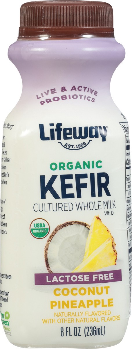 slide 4 of 15, Lifeway Organic Lactose Free Coconut Pineapple Kefir - 8 fl oz, 8 fl oz