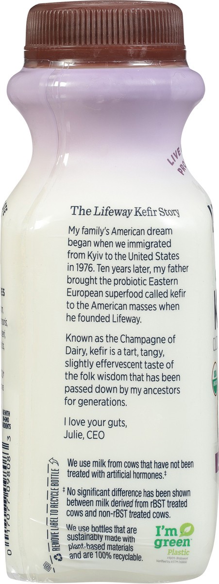 slide 11 of 15, Lifeway Organic Lactose Free Coconut Pineapple Kefir - 8 fl oz, 8 fl oz