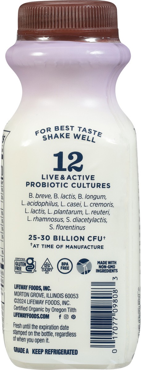 slide 7 of 15, Lifeway Organic Lactose Free Coconut Pineapple Kefir - 8 fl oz, 8 fl oz