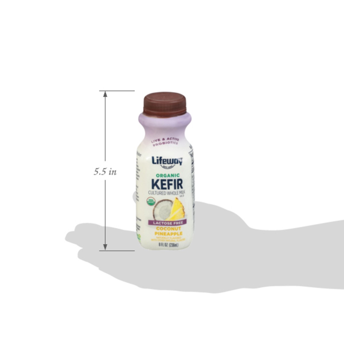 slide 3 of 15, Lifeway Organic Lactose Free Coconut Pineapple Kefir - 8 fl oz, 8 fl oz