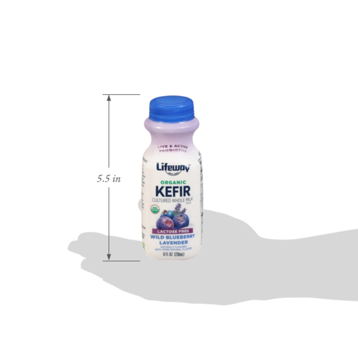 slide 12 of 15, Lifeway Organic Lactose Free Wild Blueberry Lavender Kefir 8 fl oz, 8 fl oz