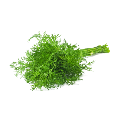 slide 1 of 1, Goodness Gardens Organic Dill Slimline, 0.75 oz