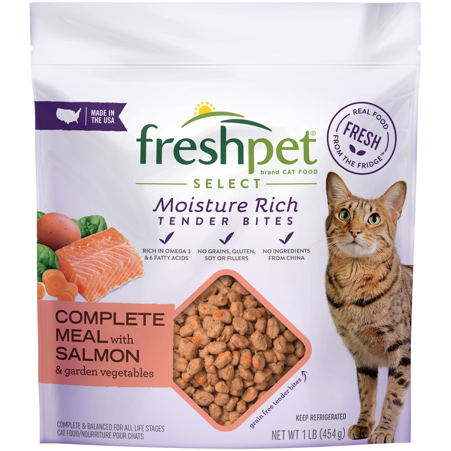 slide 1 of 1, Freshpet Healthy & Natural Cat Food, Fresh Salmon Recipe, 1 lb
