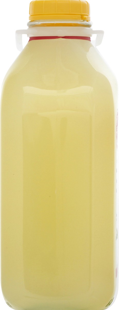 slide 6 of 13, Homestead Creamery Juice 0.5 gl, 1/2 gal
