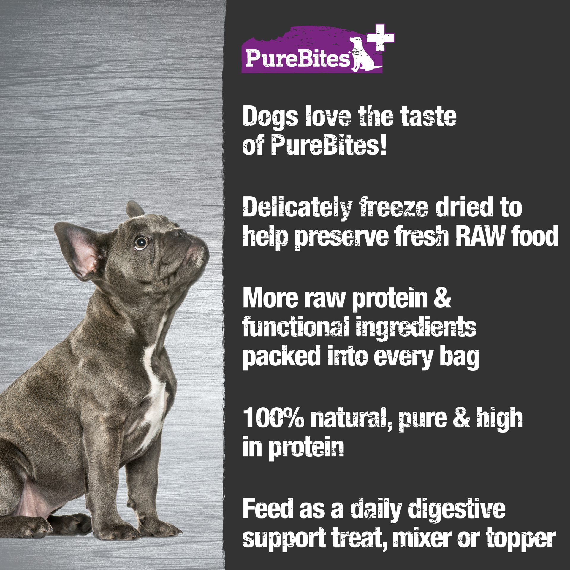 slide 3 of 5, PureBites+ Freeze Dried Dog Treat 3.0oz | Gut & Digestion | 5 Ingredients | Made in USA, 85 g