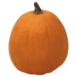 Large Pumpkin