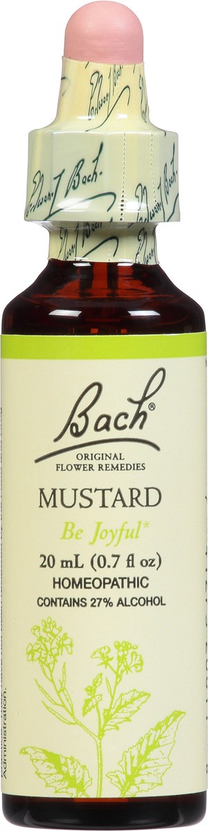 slide 6 of 9, Bach Flower Essence Mustard, 20 ml