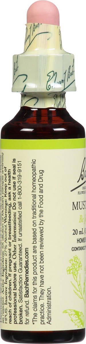 slide 7 of 9, Bach Flower Essence Mustard, 20 ml