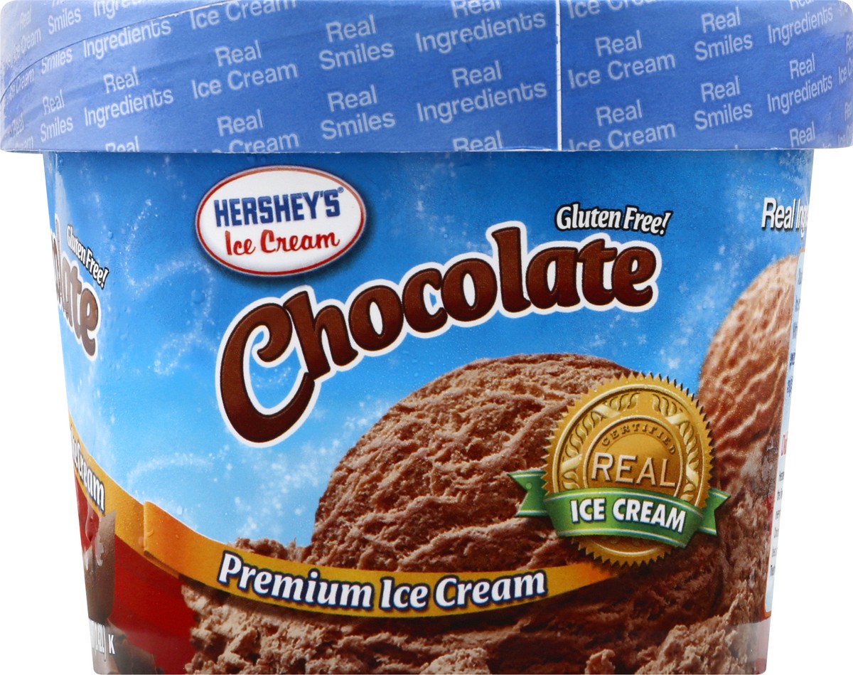 slide 9 of 13, Hershey's Ice Cream Premium Chocolate Ice Cream 1.5 qt, 1.50 qt