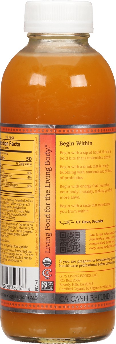 slide 5 of 9, GT's Enlightened Synergy Tantric Turmeric Kombucha, 16 fl oz