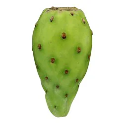 Cactus Pear