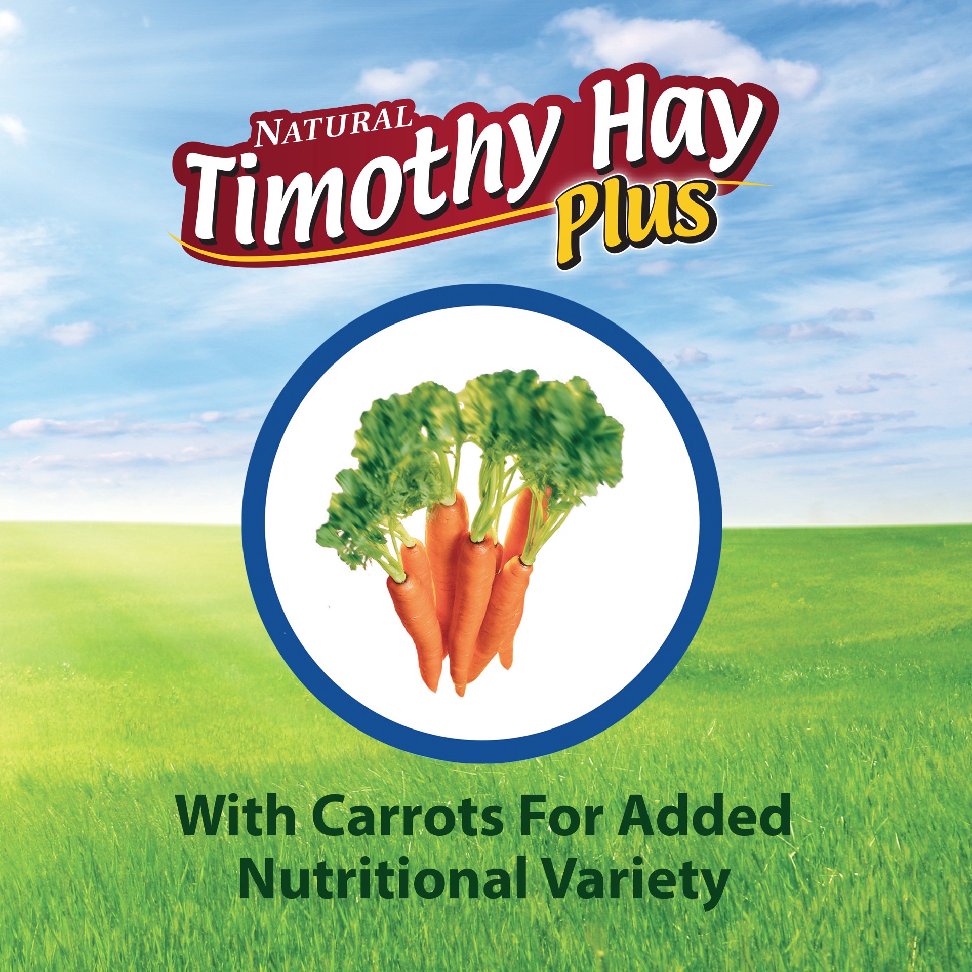 slide 9 of 10, Kaytee Pet Specialty Kaytee Timothy Hay Plus Carrots 24 oz, 1 ct