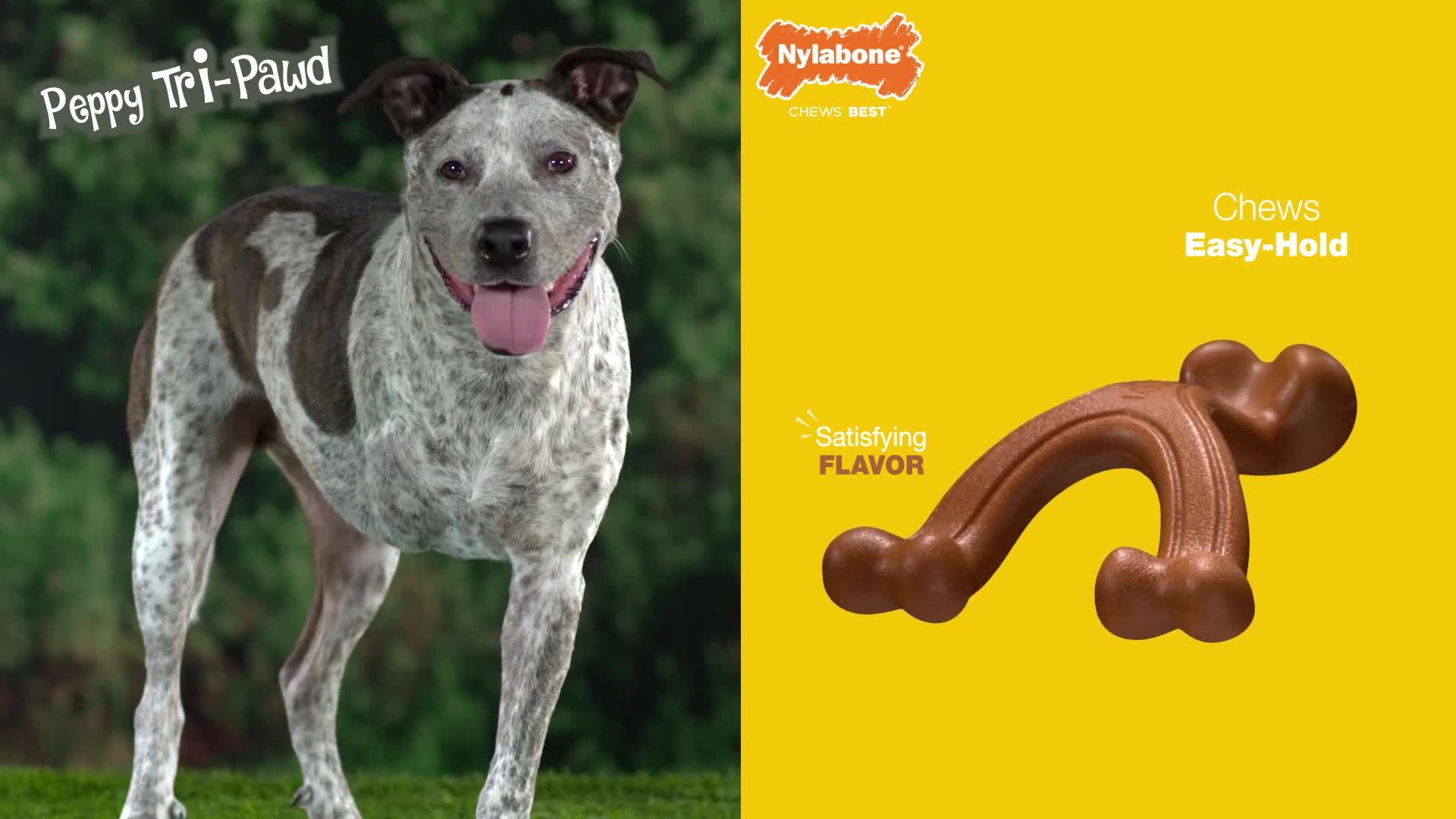 slide 10 of 10, Nylabone Power Chew Pretzel Dog Toy Bacon & Peanut Butter Pretzel Small/Regular - Up to 25 Ibs.(1 Count), 1 ct