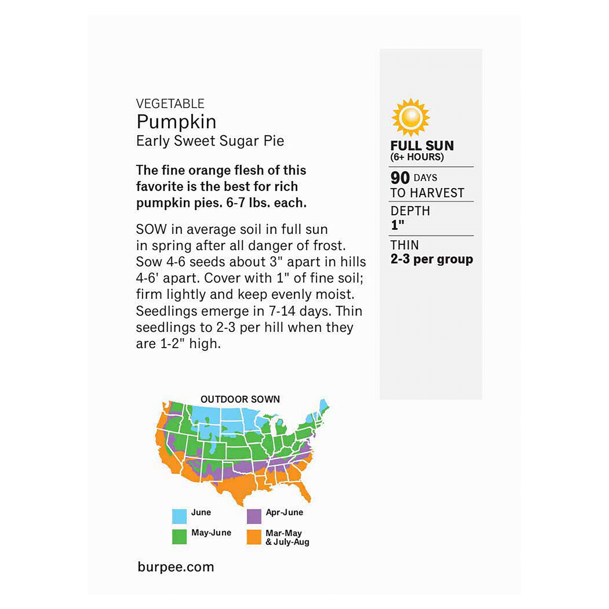 slide 3 of 5, Burpee Heirloom Pumpkin Early Sweet Sugar Pie Seeds, 1 ct