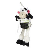 slide 5 of 29, Go Dog Dog Toy 1 ea, 1 ct