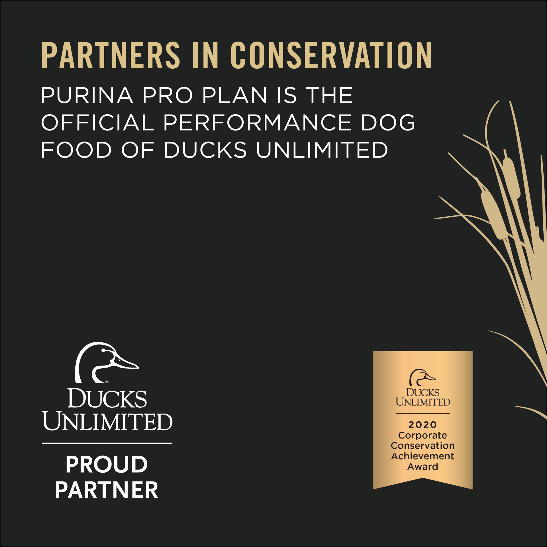 slide 4 of 9, Purina Pro Plan Sport Performance 30/20 Beef & Bison Formula Dry Dog Food, 33 lbs., 33 lb