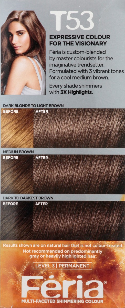 slide 7 of 9, L'Oréal Fería Cool Medium Brown T53 Hair Colour Gel 1 ea, 1 ct