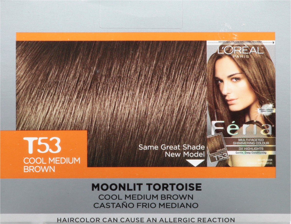 slide 9 of 9, L'Oréal Fería Cool Medium Brown T53 Hair Colour Gel 1 ea, 1 ct