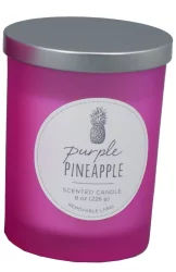 HD Designs Purple Pineapple Jar Candle