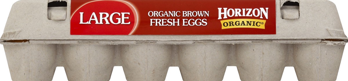 slide 1 of 5, Horizon Organic Eggs 1 ea, 1 ct