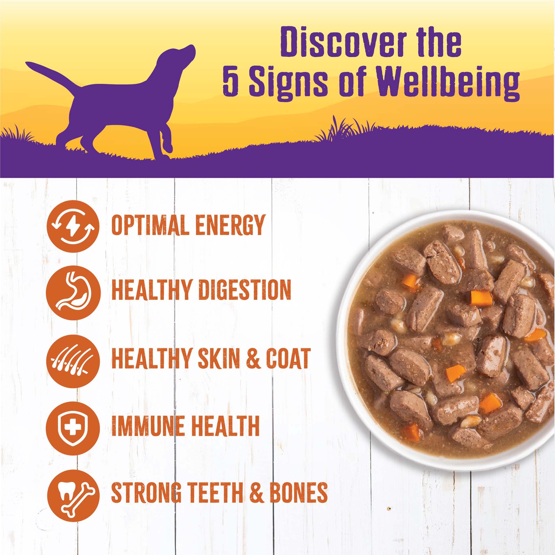 slide 3 of 4, Wellness Natural Food For Dogs Turkey Stew With Barley Carrots, 12.5 oz