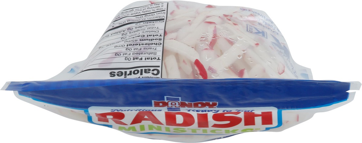slide 8 of 9, Dandy Radish Ministix, 4 oz