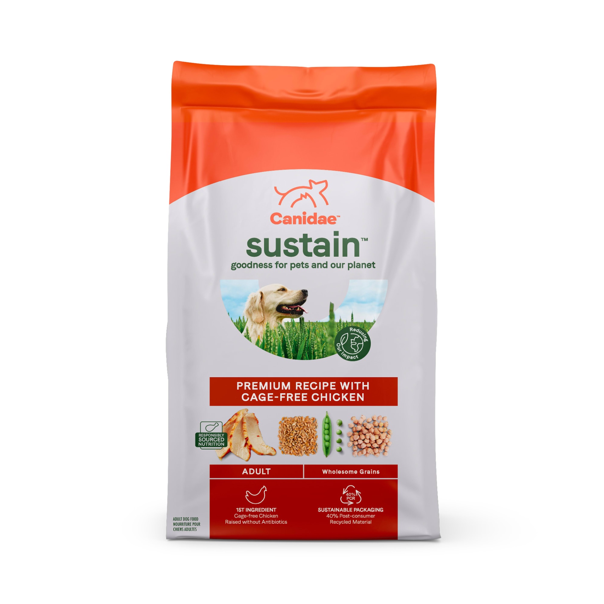 slide 1 of 1, CANIDAE Sustain Premium Recipe with Cage-Free Chicken Adult Dry Dog Food, 4 lb