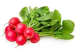 slide 1 of 1, Radishes Ready Pac Italian Red, 1 ct