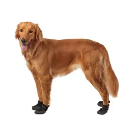 Top Paw Dog Booties