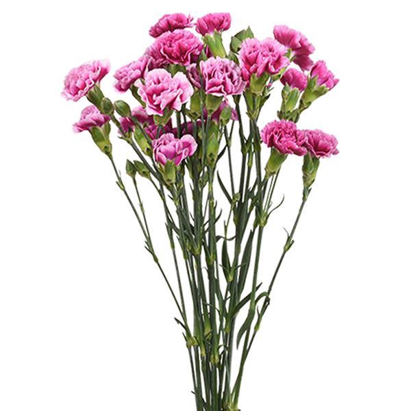slide 1 of 1, Garden Bunches Mini Assorted, 1 ct