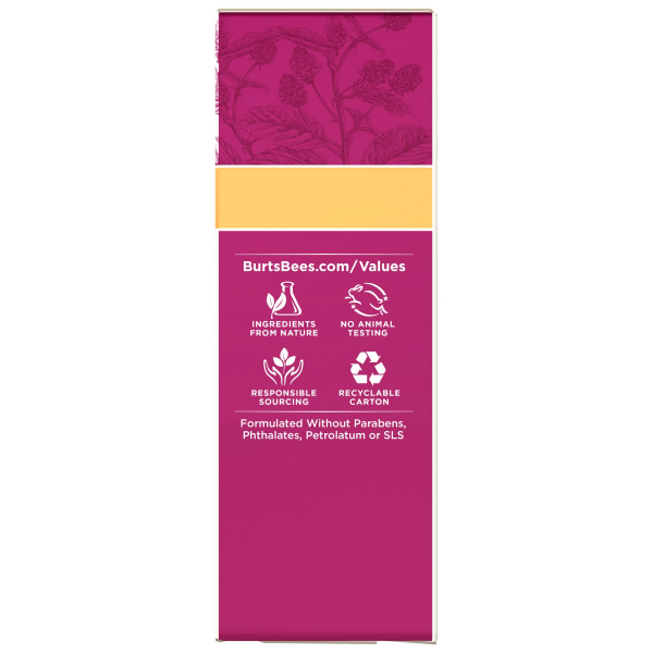slide 16 of 22, Burt's Bees Renewal Dark Spot Corrector 1 fl oz, 1 oz