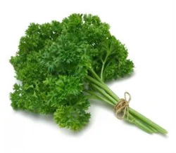 Parsley