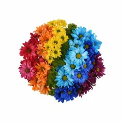 Bloom Haus Love is Love Fresh Flower Bunch, 1 ct