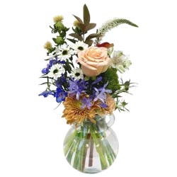 Bloom Haus Ivory Kiss Fresh Flower Arrangement, 1 ct