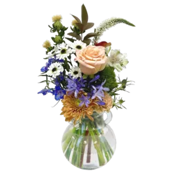 Bloom Haus Ivory Kiss Fresh Flower Arrangement, 1 ct