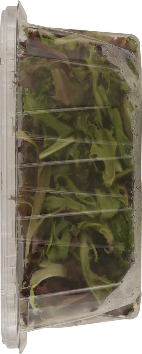 slide 10 of 13, Fresh Attitude Prewashed Hearty Harvest 5 oz, 5 oz