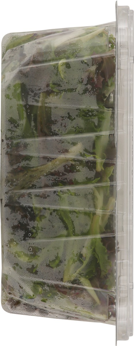 slide 13 of 13, Fresh Attitude Prewashed Hearty Harvest 5 oz, 5 oz