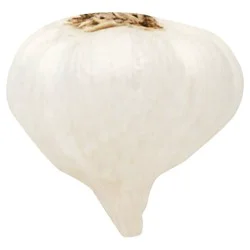 Main Plu Young Green Garlic With Stems