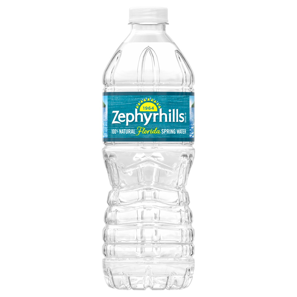 slide 1 of 4, ZEPHYRHILLS Brand Florida Spring Water, 16.9-ounce plastic bottle, 16.9 fl oz