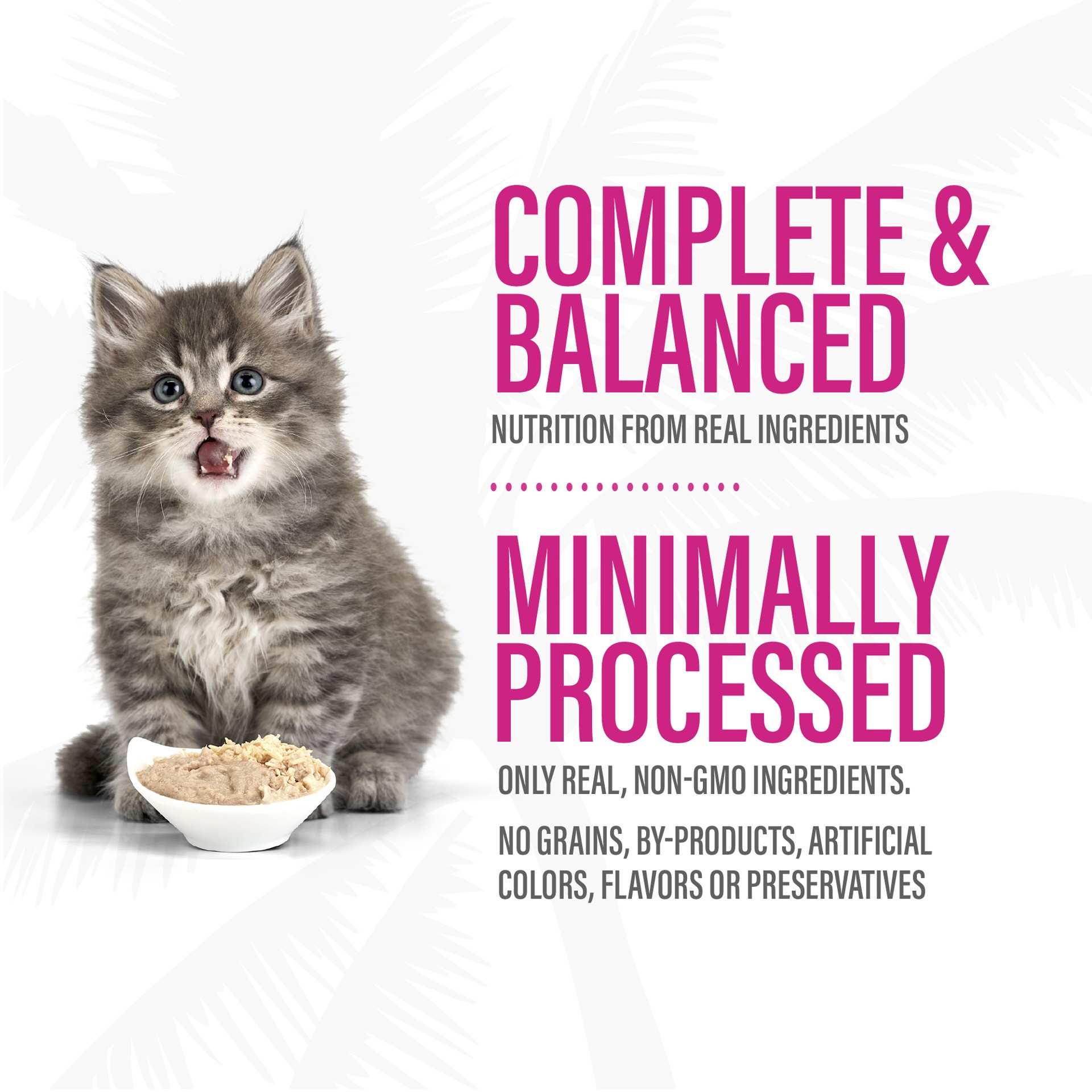 slide 4 of 10, Tiki Cat Baby Kitten Wet Food - High Protein, Pate, 2.4 Oz, 2.4 oz