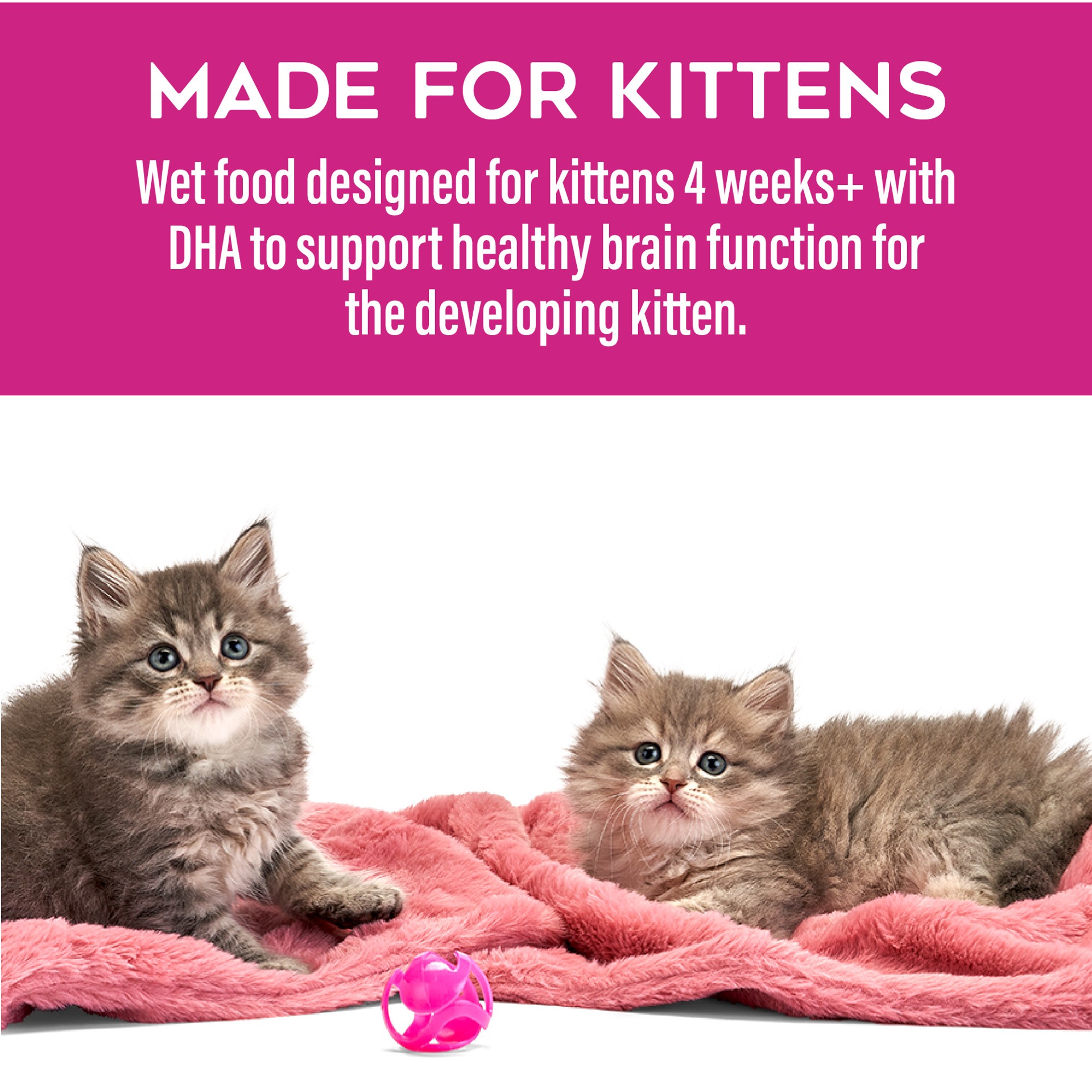 slide 8 of 10, Tiki Cat Baby Kitten Wet Food - High Protein, Pate, 2.4 Oz, 2.4 oz