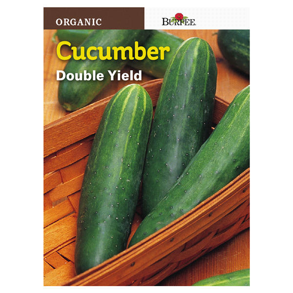 slide 1 of 1, Burpee Organic Cucumber Double Yield Seeds, 1 ct